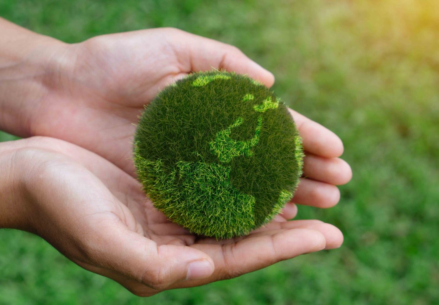 earth in hands. save of earth.World environment day and sustainable environment concept