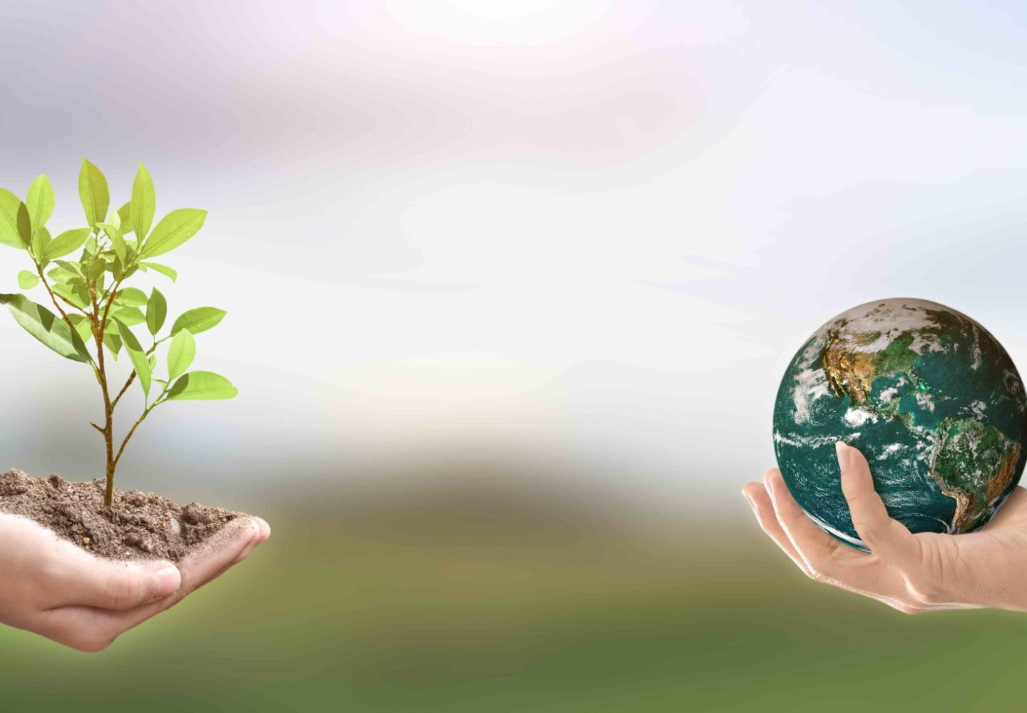 Environment day concept. hands holding tree and earth globe over green nature background. Elements of this image furnished by NASA